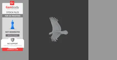 3D model of a prehistoric bird in flight, wings spread wide, for 3D printing.
