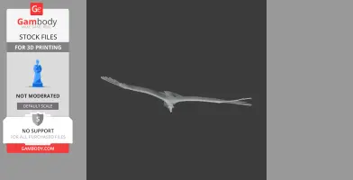 A 3D model of a prehistoric bird in flight, with wide wings and streamlined body for 3D printing.