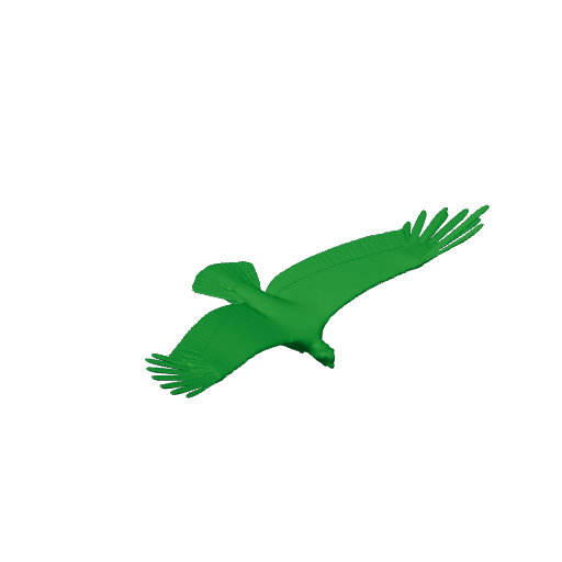 Andean laniisoma.3mf