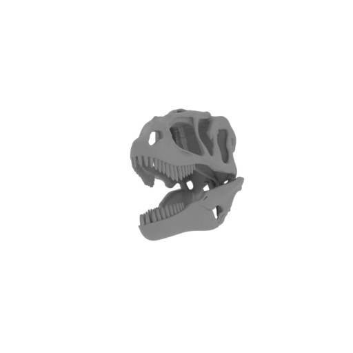 Carcharodontosaurus Skull.stl