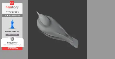 3D model of an Andean solitaire bird, smooth and detailed, suitable for 3D printing.