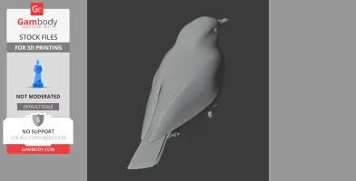A 3D print model of an Andean solitaire bird in a smooth, minimalist style.