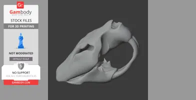 Castoroides Skull - Skull Replica STL