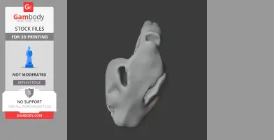 Castoroides Skull - Skull Replica STL