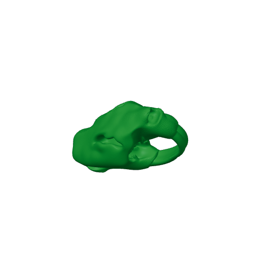 Castoroides Skull.3mf