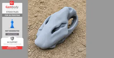Castoroides Skull - Skull Replica STL