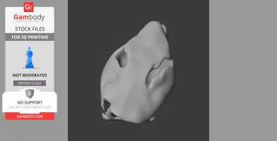 Castoroides Skull - Skull Replica STL