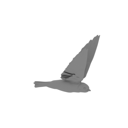Andean swallow.stl