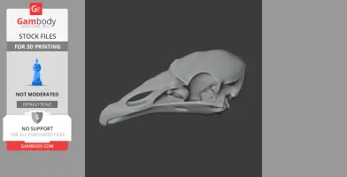 Cathartesaura Skull - Skull Replica STL