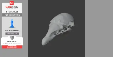 Cathartesaura Skull - Skull Replica STL