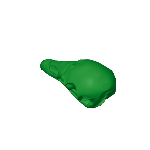 Cathartesaura Skull.3mf