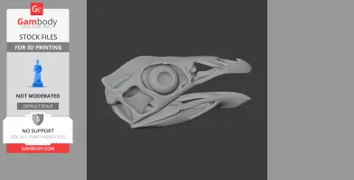 Caudipteryx Skull - Skull Replica STL