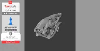Caudipteryx Skull - Skull Replica STL