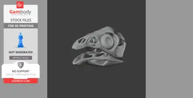 Caudipteryx Skull - Skull Replica STL