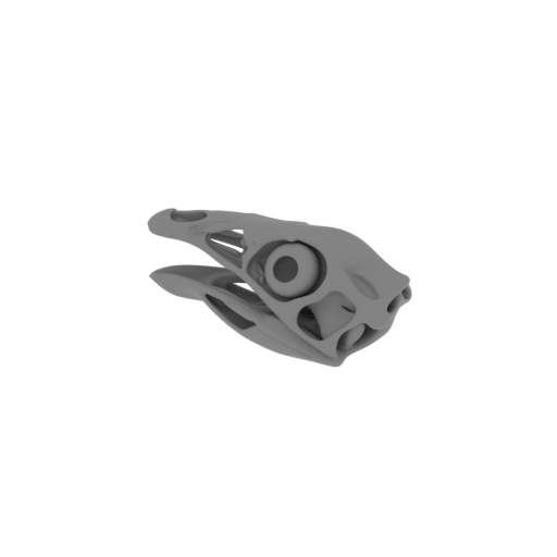 Caudipteryx Skull.stl