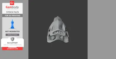 Caudipteryx Skull - Skull Replica STL