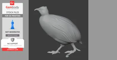 Andean tinamou - Prehistoric Animal STL