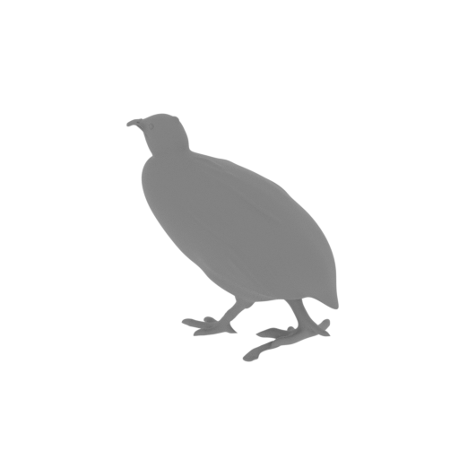 Andean tinamou.stl