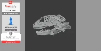 3D model of a Changyuraptor skull, showcasing detailed skeletal features for printing.