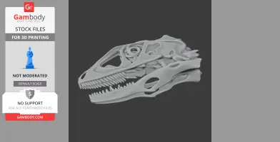 3D model of a Changyuraptor skull, showcasing detailed features for printing.