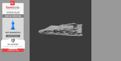 3D model of a Changyuraptor skull, showing detailed bone structure for printing.