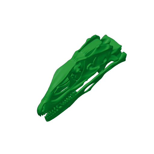 Changyuraptor Skull.3mf