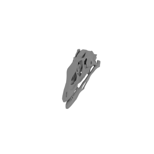 Changyuraptor Skull.stl