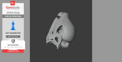 Chenanisaurus Skull - Skull Replica STL