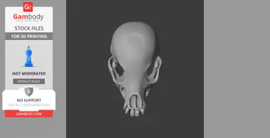 Chihuahuasaurus Skull - Skull Replica STL