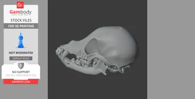 Chihuahuasaurus Skull - Skull Replica STL