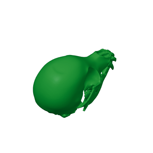 Chihuahuasaurus Skull.3mf