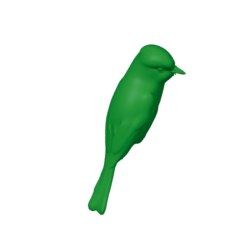 Angola slaty flycatcher.3mf