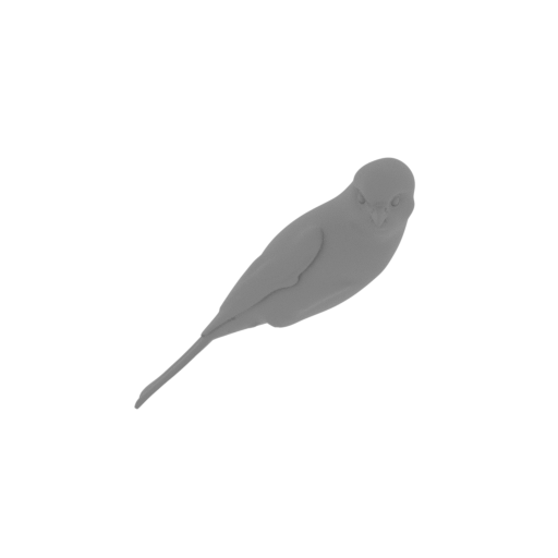 Angola slaty flycatcher.stl