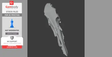 Chilesaurus Skull - Skull Replica STL