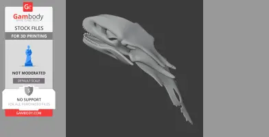 Chilesaurus Skull - Skull Replica STL