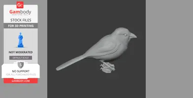 Angola waxbill - Prehistoric Animal STL