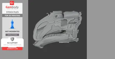 Detailed 3D model of a Choyrodon dinosaur skull, ready for 3D printing.