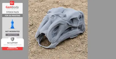 A gray 3D-printed Choyrodon dinosaur skull replica placed on sandy ground.