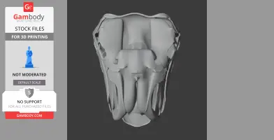 3D model of a Choyrodon dinosaur skull from a frontal view, for 3D printing on Gambody.