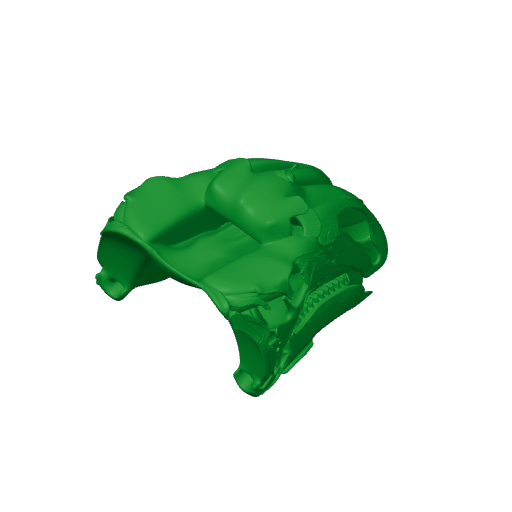 Choyrodon Skull.3mf