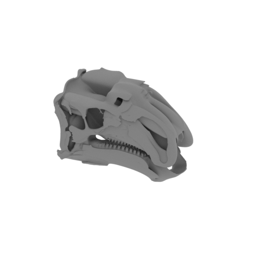 Choyrodon Skull.stl