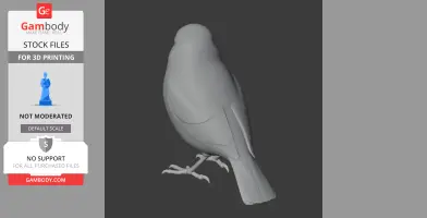 Angola white-eye - Prehistoric Animal STL