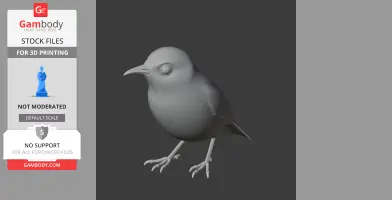 Angola white-eye - Prehistoric Animal STL