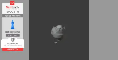 A 3D model of a round, detailed bird with small wings, viewed from the front.