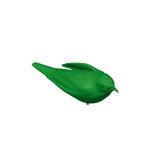 Anjouan brush warbler.3mf