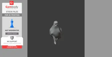 Gray 3D model of a prehistoric bird in a frontal view.