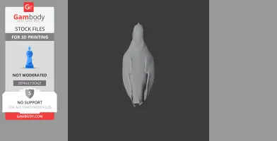 A 3D model of a streamlined prehistoric bird viewed from above, designed for 3D printing.