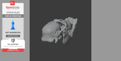 A 3D model of an alien skull replica with intricate bone structures, designed for 3D printing.