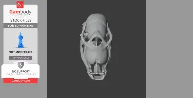 3D model of a Citipes skull viewed from above, showing detailed bone structure on a dark background.