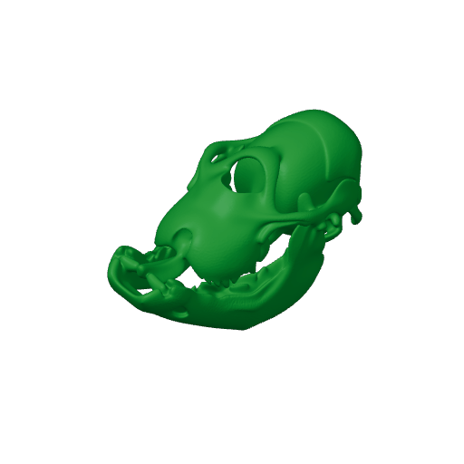 Citipes Skull.3mf